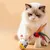 PetTribes Jouet Chat Bascule Hêtre Auto-Redressable