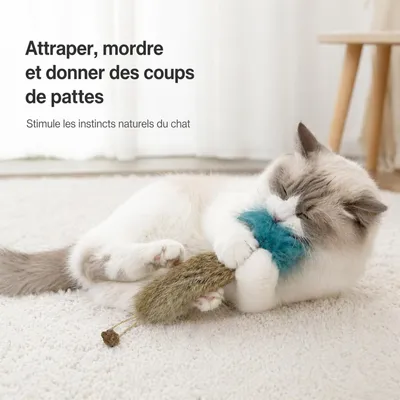 MCBOSON Lot de 3 Carottes Fourrure Vraie Matatabi Anti-Stress