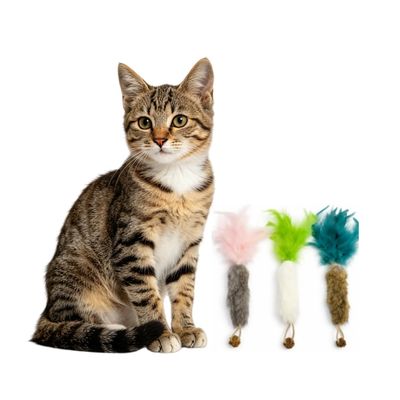 MCBOSON Lot de 3 Carottes Fourrure Vraie Matatabi Anti-Stress