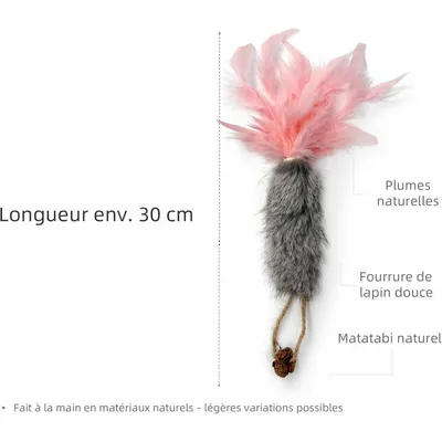 MCBOSON Lot de 3 Carottes Fourrure Vraie Matatabi Anti-Stress
