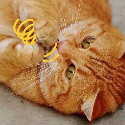ZooVenture Jouet Plume Chat 32 Pièces Coloré