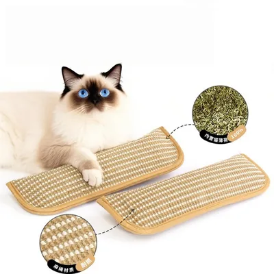 FurryFusion Oreiller de catnip et planche à griffer en jute