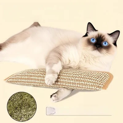 FurryFusion Oreiller de catnip et planche à griffer en jute