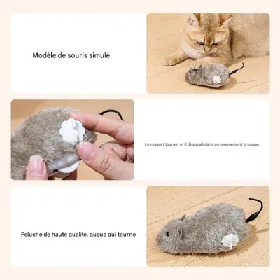 Zoomtopia Jouet souris mécanique à remonter pour chat et chien gris Zoomtopia Jouet souris mécanique à remonter pour chat et chien gris
