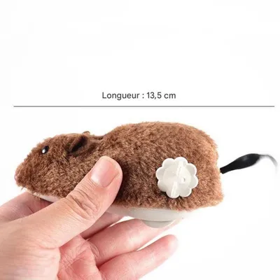 Zoomtopia Jouet souris mécanique à remonter pour chat et chien gris Zoomtopia Jouet souris mécanique à remonter pour chat et chien gris