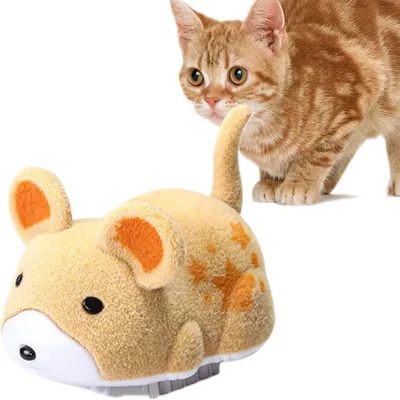 Jouet Chat Électrique - Souris Vibrante avec Son & Mouvement Auto