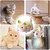 Jouet Chat - Souris Électrique Vibrante avec Son & Auto-rotation