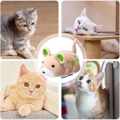 Jouet Chat - Souris Électrique Vibrante avec Son & Auto-rotation