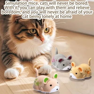Jouet Chat - Souris Électrique Vibrante avec Son & Auto-rotation