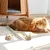 Jouet Chat - Souris Électrique Vibrante avec Son & Auto-rotation