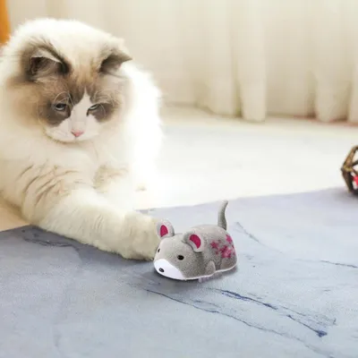 Jouet Chat Électrique Hamster - Mouvement Auto & Stimulation Curiosité