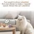Jouet Chat Électrique Hamster - Mouvement Auto & Stimulation Curiosité