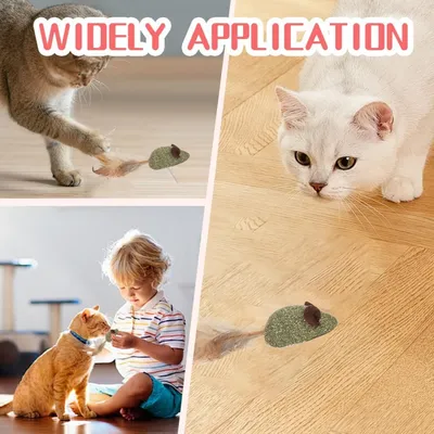 MCBOSON Lot de 2 jouet souris herbe à chat nettoyage oral
