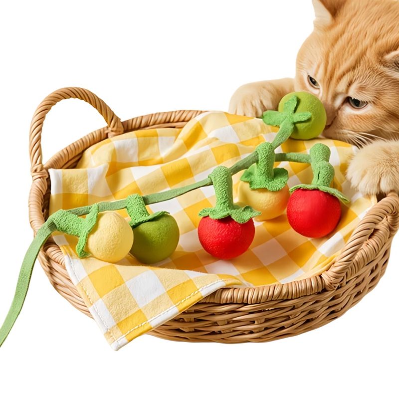 FurryFusion Tomaten-Katzenspielzeug