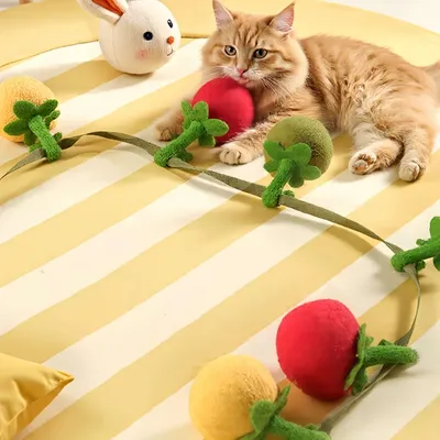 FurryFusion Jouet de tomate pour chat