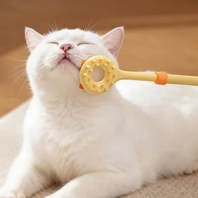 PetTribes Bâton Chat 2en1 Rétractable Jouet Masseur