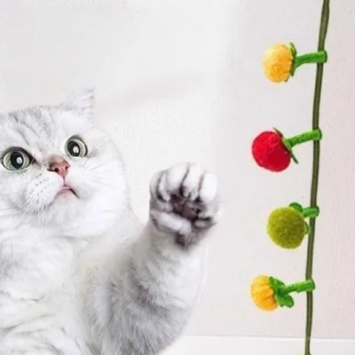 MCBOSON Jouet pour chat en suspension interactif pack de 2