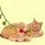 MCBOSON Jouet pour chat en suspension interactif pack de 2
