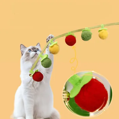 MCBOSON Jouet pour chat en suspension interactif pack de 2