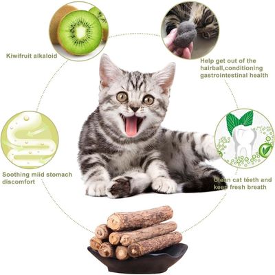 Zoomtopia Lot 10 bâtons dentaires silvervine pour chat naturels