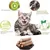 Zoomtopia Lot 10 bâtons dentaires silvervine pour chat naturels
