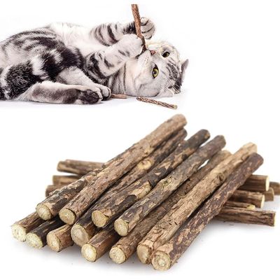 Zoomtopia Lot 10 bâtons dentaires silvervine pour chat naturels