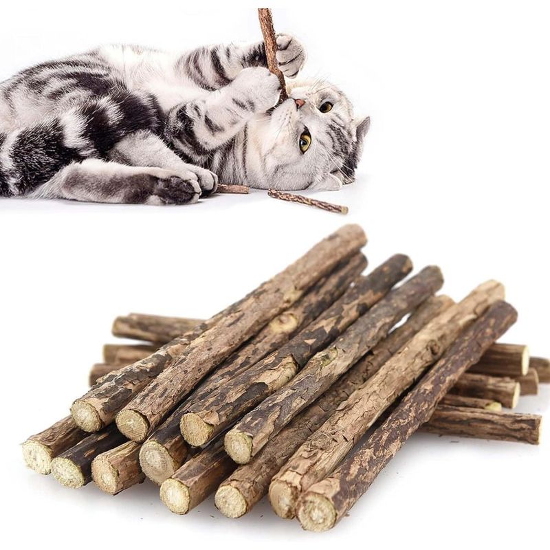 Zoomtopia Lot 10 bâtons dentaires silvervine pour chat naturels