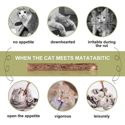 Zoomtopia Lot 10 bâtons dentaires silvervine pour chat naturels