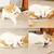 Zoomtopia Bâtonnets herbe à chat dentaire haleine lot 3 pièces