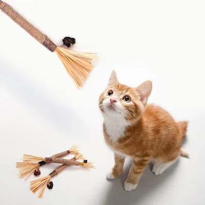 Zoomtopia Bâtonnets herbe à chat dentaire haleine lot 3 pièces