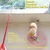 PetTribes Jouet Chat FeatherWand