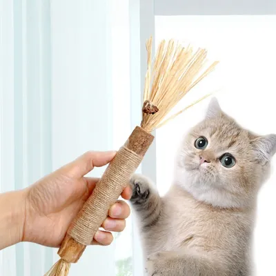 FurryFusion Bâton de grignotage en bois de tatarin pour chat