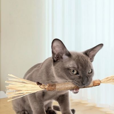 FurryFusion Bâton de grignotage en bois de tatarin pour chat