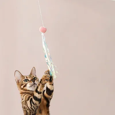 FurryFusion Baton à chat extensible avec plumes