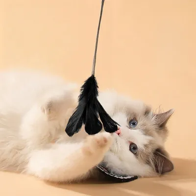 FurryFusion Bâton à plumes pour chat avec tête interchangeable et ventouse