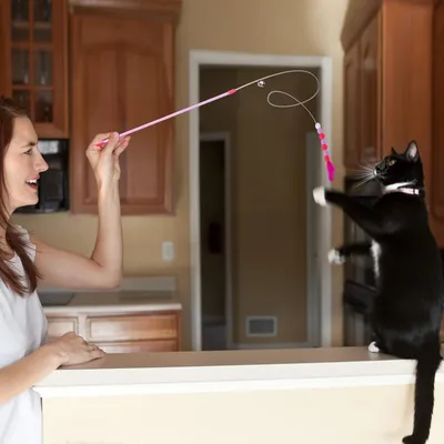 ZooVenture Canne Plume Chat Interactif Sonnette