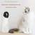 FurryFusion Jouet électrique pour chats multi - fonction