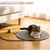 ZooVenture Griffoir Chat Coton Multifonctionnel Lot de 2 ZooVenture Griffoir Chat Coton Multifonctionnel Lot de 2