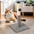Griffoir pour chat Arbre à chat griffoir sisal avec balle jeu Griffoir pour chat Arbre à chat griffoir sisal avec balle jeu