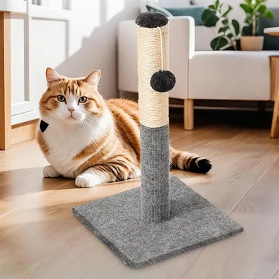 Griffoir pour chat Arbre à chat griffoir sisal avec balle jeu Griffoir pour chat Arbre à chat griffoir sisal avec balle jeu