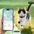 Zoomtopia Collier GPS chat sans abonnement localisation temps réel Zoomtopia Collier GPS chat sans abonnement localisation temps réel