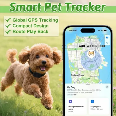 Zoomtopia Collier GPS chat sans abonnement localisation temps réel Zoomtopia Collier GPS chat sans abonnement localisation temps réel