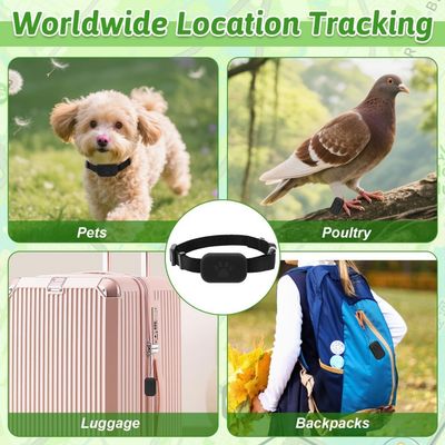 Zoomtopia Collier GPS chat sans abonnement localisation temps réel