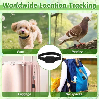 Zoomtopia Collier GPS chat sans abonnement localisation temps réel Zoomtopia Collier GPS chat sans abonnement localisation temps réel