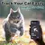 Applicable à Apple AirTag 1ère génération traceur anti-perte pour animaux Applicable à Apple AirTag 1ère génération traceur anti-perte pour animaux