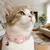 Lot de 1 MCBOSON Collier chat sans abonnement GPS 2026 rose Lot de 1 MCBOSON Collier chat sans abonnement GPS 2026 rose