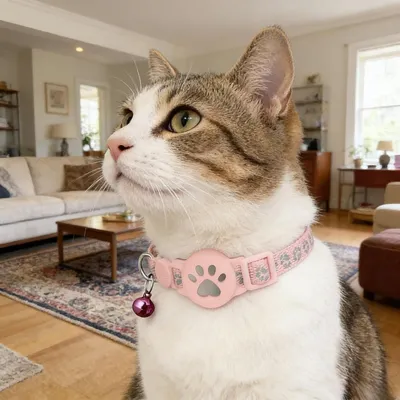 Lot de 1 MCBOSON Collier chat sans abonnement GPS 2026 rose Lot de 1 MCBOSON Collier chat sans abonnement GPS 2026 rose