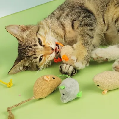 ZooVenture Jouets Souris Peluche Chat - 8 Pièces