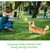 ZooVenture Jouet Chien Corde Spirale Grinçant