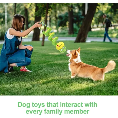 ZooVenture Jouet Chien Corde Spirale Grinçant